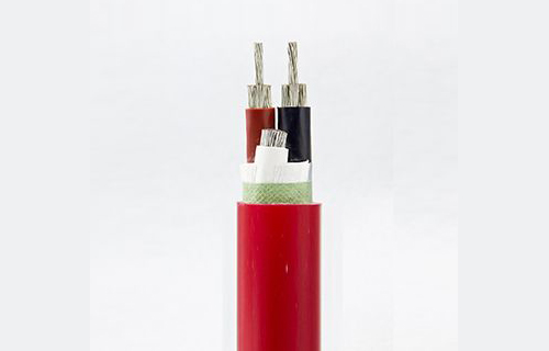 61aecb08e44fa.jpg 01.jpg