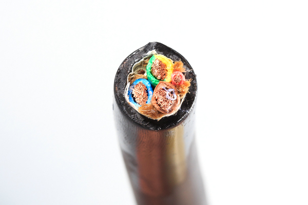 61baf786dc3d4.jpg 01.jpg