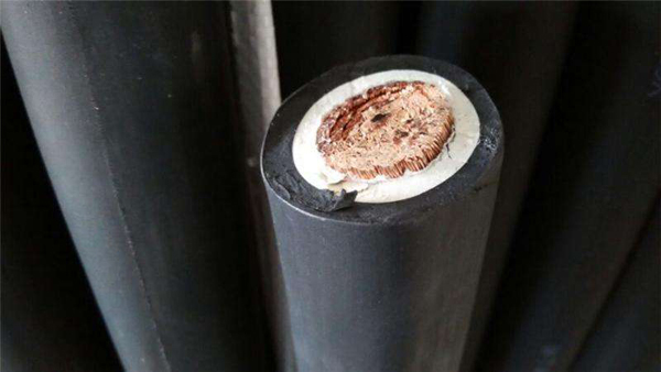 61d4f7ab7364d.jpg 01.jpg